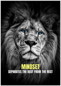 Photo d'un lion et d'une citation "Separate the Best from the Rest"